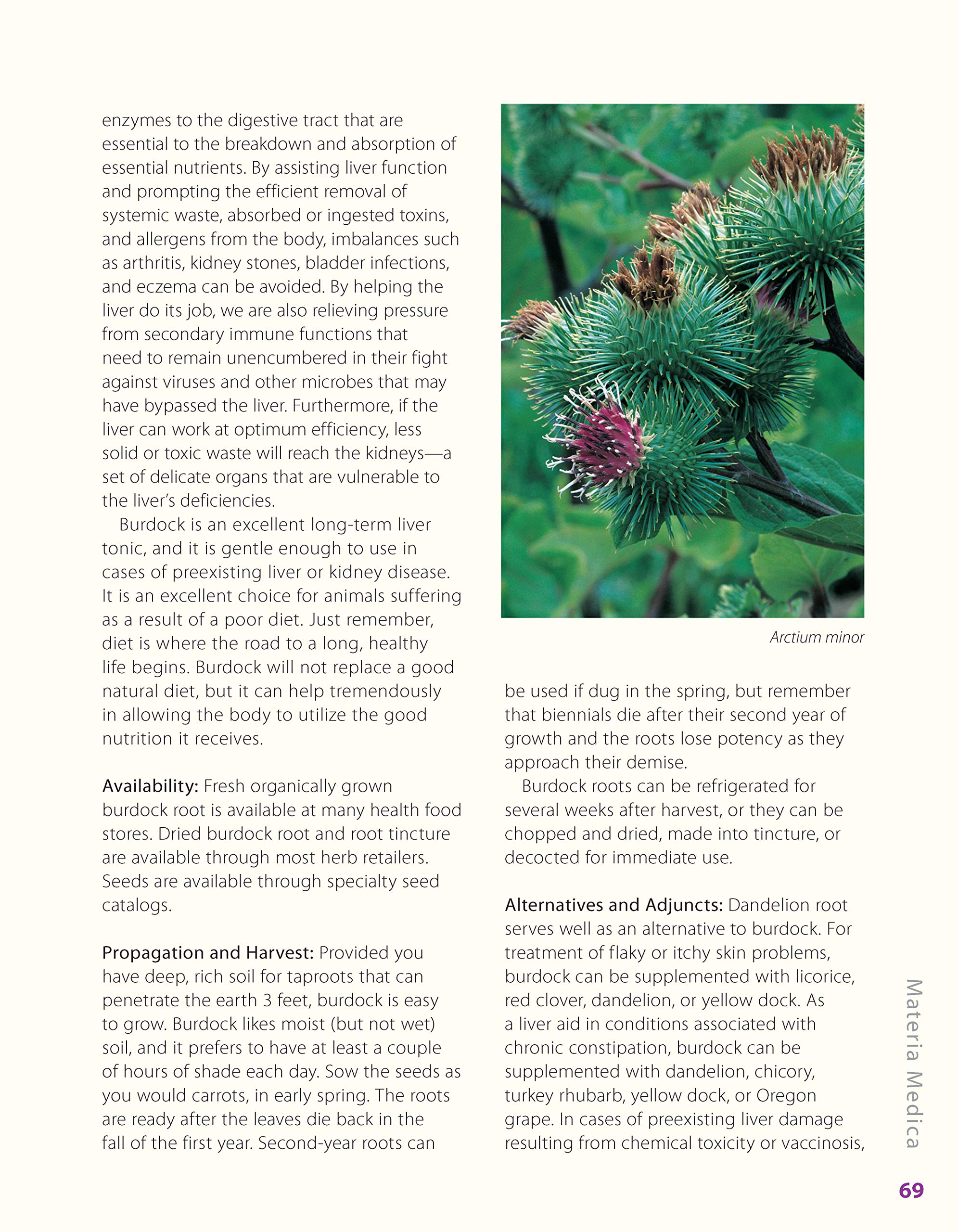 Herbalist Greg Tilford Book - Herbs for Pets : The Natural Way to Enhance Your Pet’s Life Pet | Natural Care & Health Support Book
