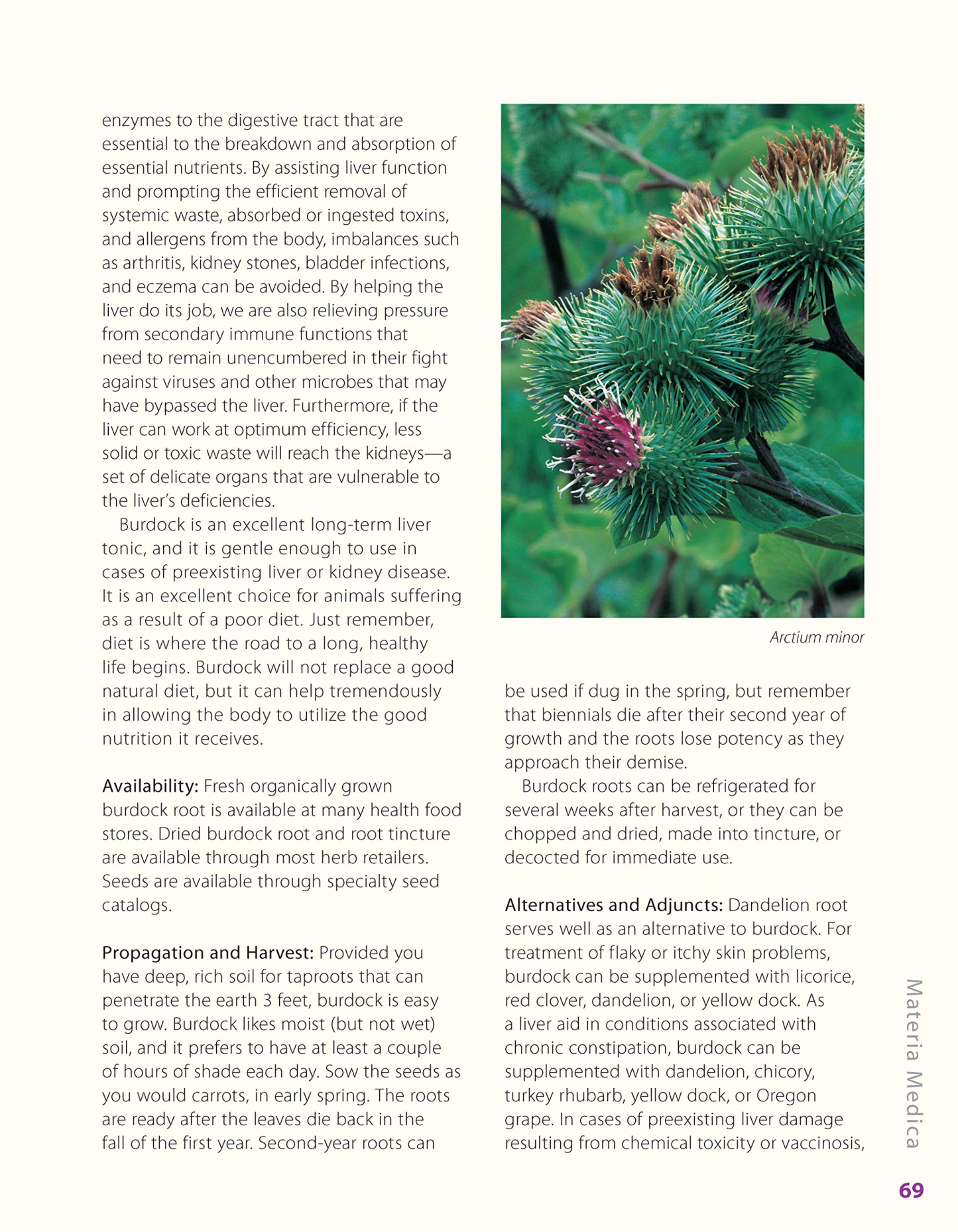 Herbalist Greg Tilford Book - Herbs for Pets : The Natural Way to Enhance Your Pet’s Life Pet | Natural Care & Health Support Book