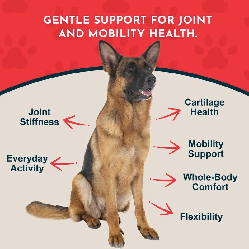 Animal Essentials Joint Support (1oz) Joint Hip Mobility Arthritis Support Herbal Tincture Organic for Dogs and Cats