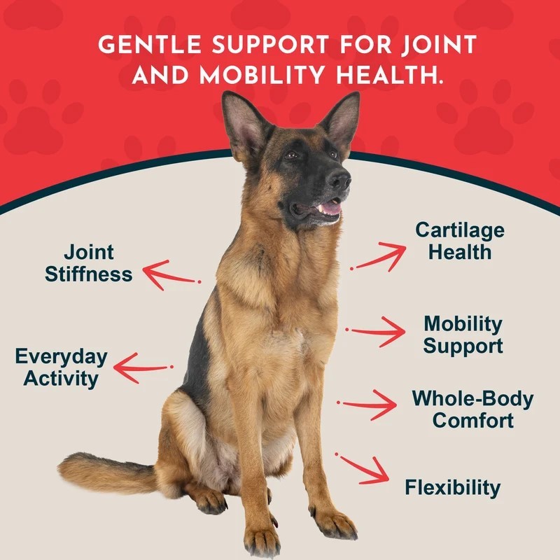 Animal Essentials Joint Support (1oz) Joint Hip Mobility Arthritis Support Herbal Tincture Organic for Dogs and Cats