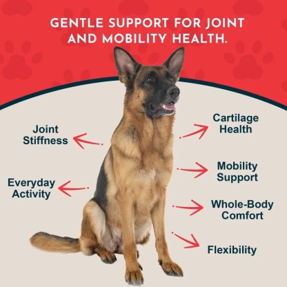 Animal Essentials Joint Support (1oz) Joint Hip Mobility Arthritis Support Herbal Tincture Organic for Dogs and Cats