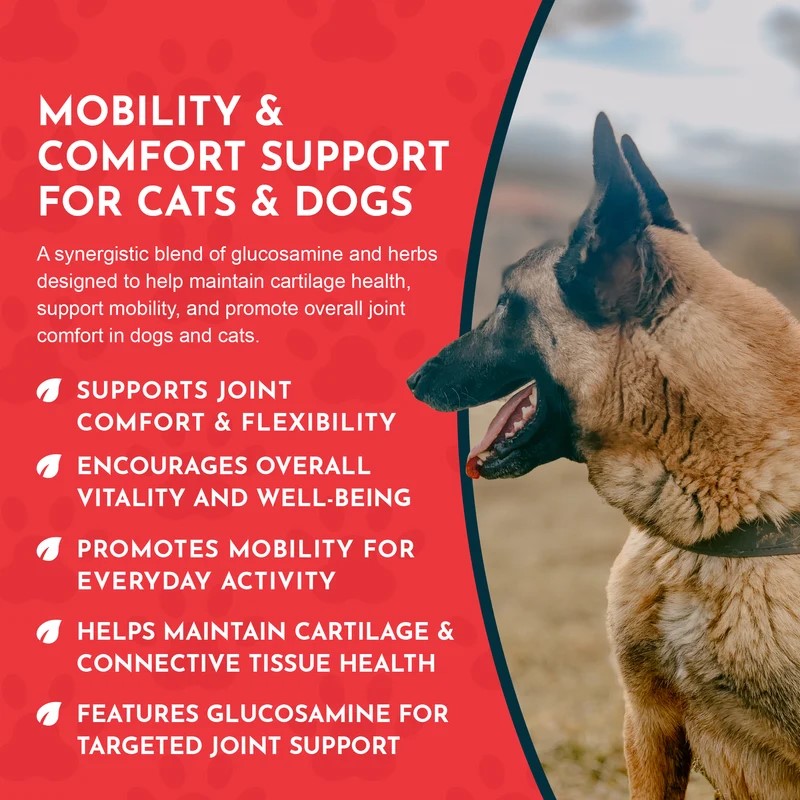 Animal Essentials Joint Support (1oz) Joint Hip Mobility Arthritis Support Herbal Tincture Organic for Dogs and Cats