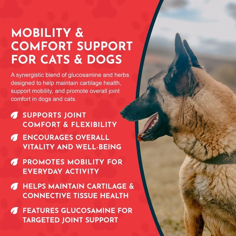 Animal Essentials Joint Support (1oz) Joint Hip Mobility Arthritis Support Herbal Tincture Organic for Dogs and Cats