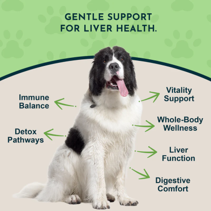 Animal Essentials Liver Defense (1oz) Liver Kidney Detox Support Herbal Tincture Organic for Dogs and Cats