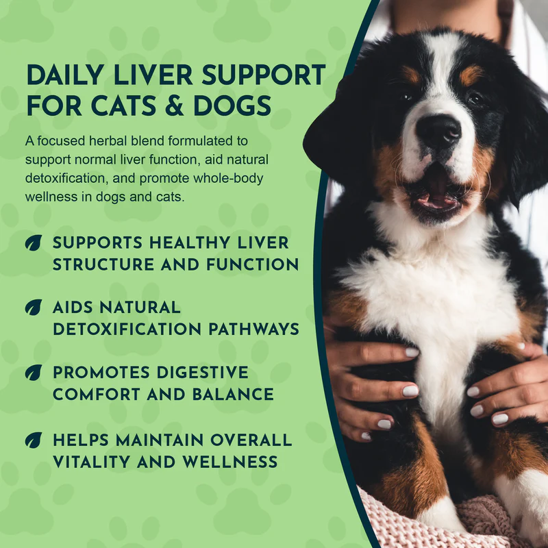 Animal Essentials Liver Defense (1oz) Liver Kidney Detox Support Herbal Tincture Organic for Dogs and Cats