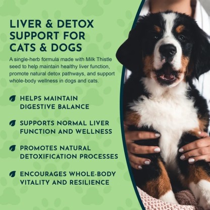 Animal Essentials Milk Thistle Seed (1oz & 2oz) Liver Detox Cleanse Herbal Tincture Organic for Dogs and Cats