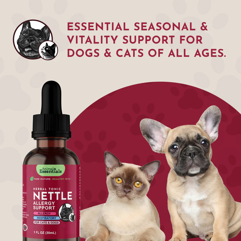 Animal Essentials Nettle (1oz) Seasonal Allergy Itchy Skin Kidney Support Herbal Tincture Organic for Dogs and Cats