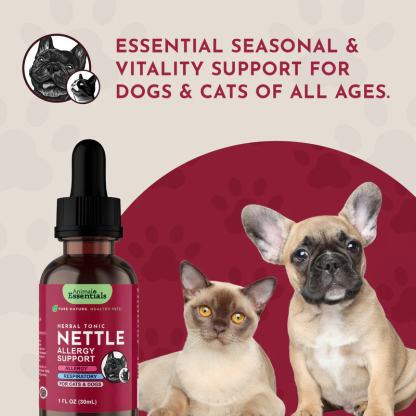 Animal Essentials Nettle (1oz) Seasonal Allergy Itchy Skin Kidney Support Herbal Tincture Organic for Dogs and Cats