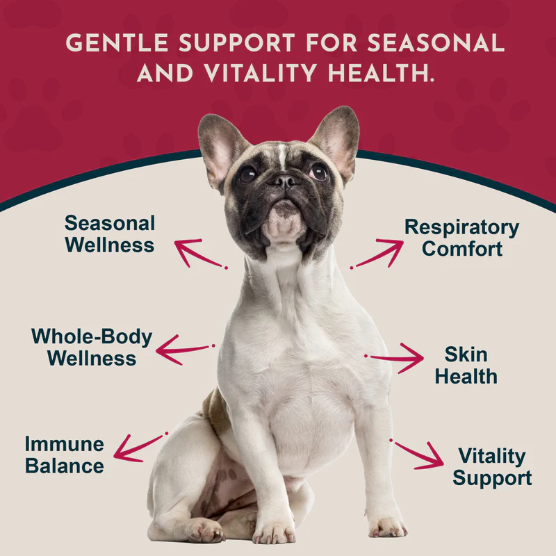 Animal Essentials Nettle (1oz) Seasonal Allergy Itchy Skin Kidney Support Herbal Tincture Organic for Dogs and Cats