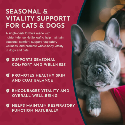Animal Essentials Nettle (1oz) Seasonal Allergy Itchy Skin Kidney Support Herbal Tincture Organic for Dogs and Cats