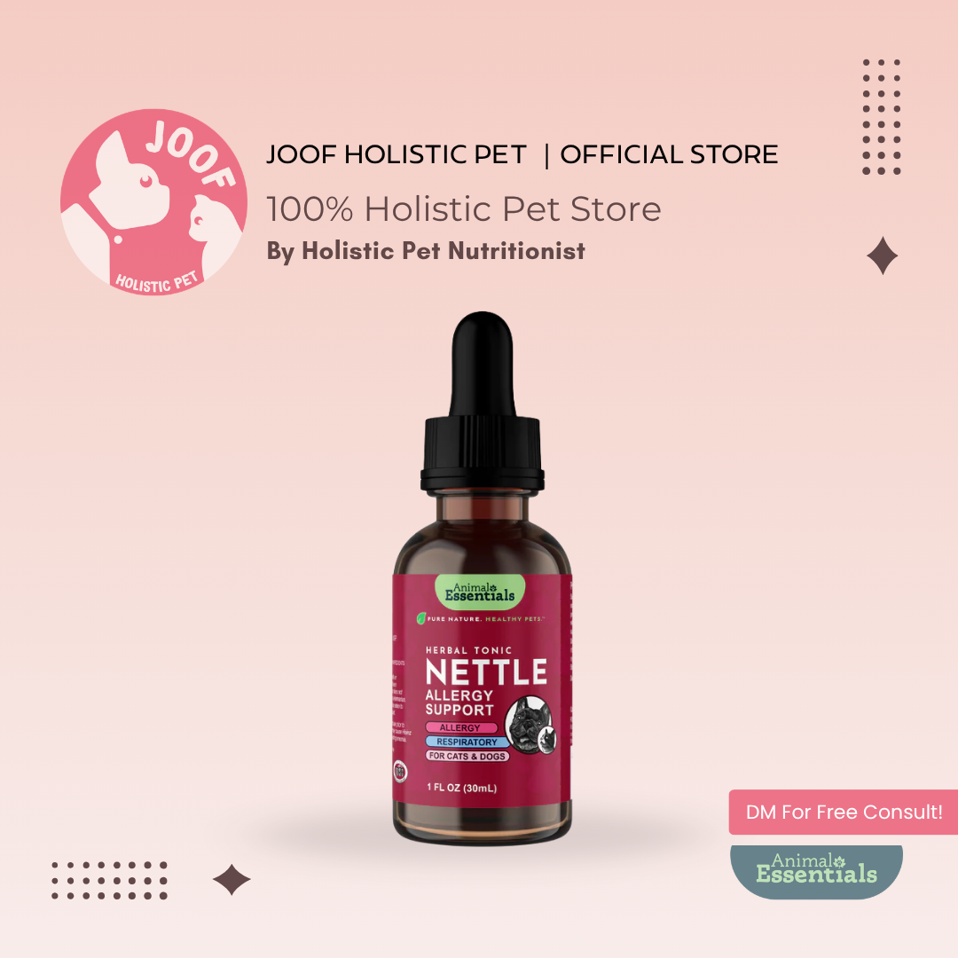 Animal Essentials Nettle (1oz) Seasonal Allergy Itchy Skin Kidney Support Herbal Tincture Organic for Dogs and Cats