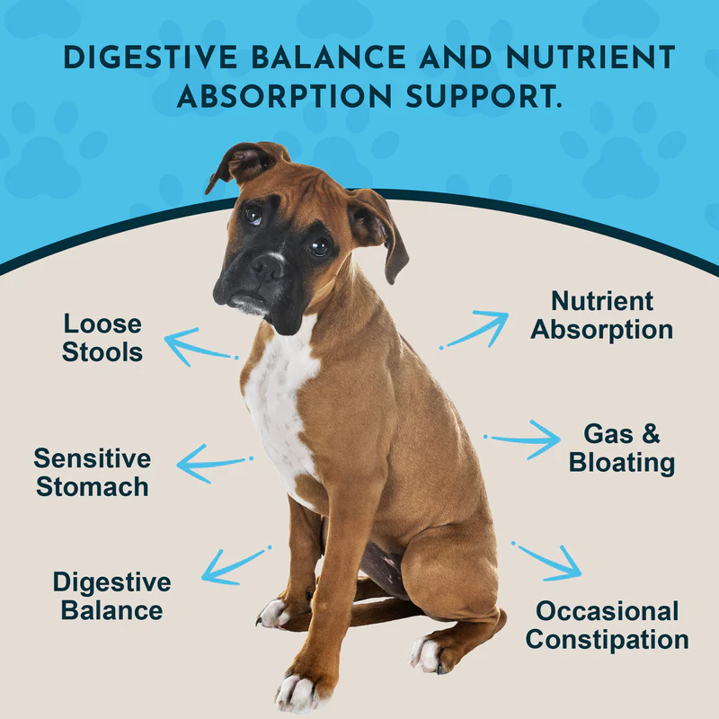 Animal Essentials Plant Enzyme & Probiotics (100g) Digestive Enzyme Gut Pancreatitis Support for Dogs and Cats