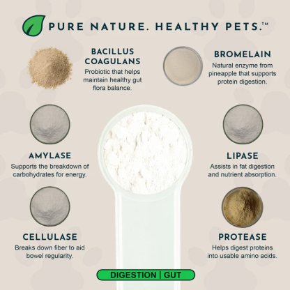 Animal Essentials Plant Enzyme & Probiotics (100g) Digestive Enzyme Gut Pancreatitis Support for Dogs and Cats