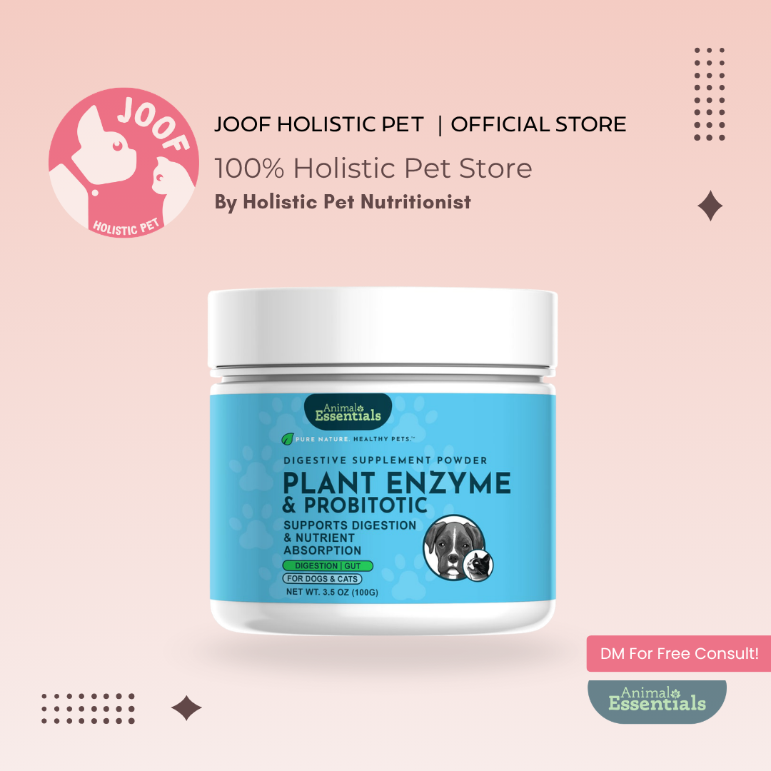 Animal Essentials Plant Enzyme & Probiotics (100g) Digestive Enzyme Gut Pancreatitis Support for Dogs and Cats
