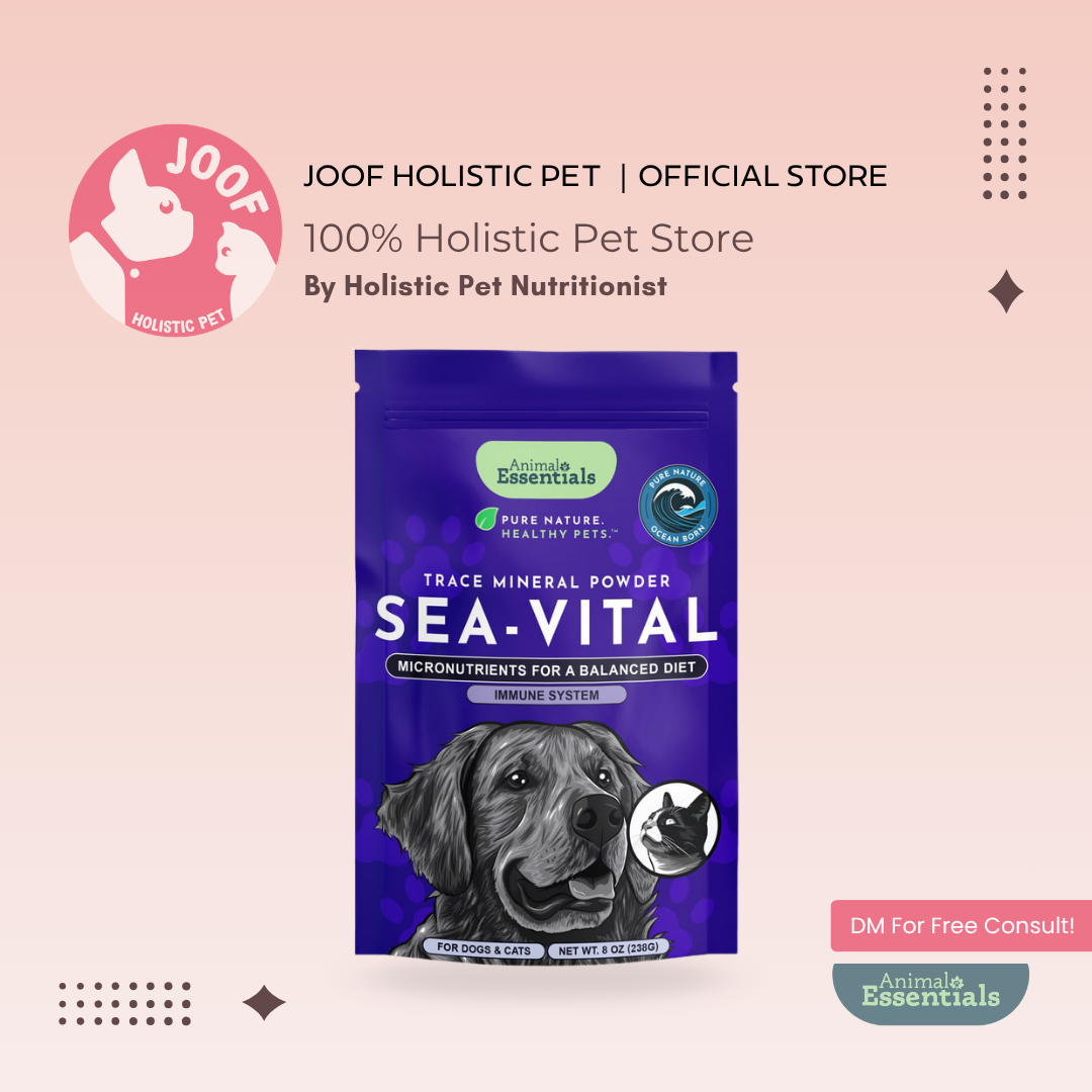 Animal Essentials Sea Vital (8oz) Thyroid Iodine Skin Immune Support Organic for Dogs and Cats