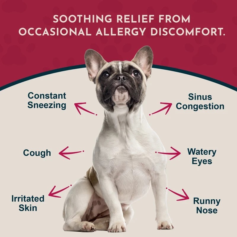 Animal Essentials Seasonal Allergy (1oz & 80g) Environmental Allergy Itchy Skin Support Herbal Tincture Organic for Dogs and Cats