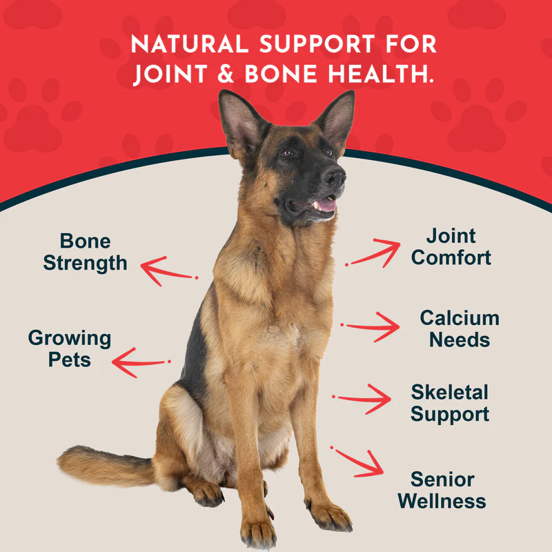 Animal Essentials Seaweed Calcium (12oz) Bone Joint Calcium Mineral Support Organic for Dogs and Cats