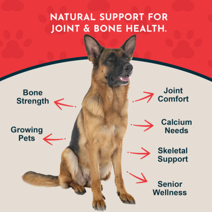 Animal Essentials Seaweed Calcium (12oz) Bone Joint Calcium Mineral Support Organic for Dogs and Cats