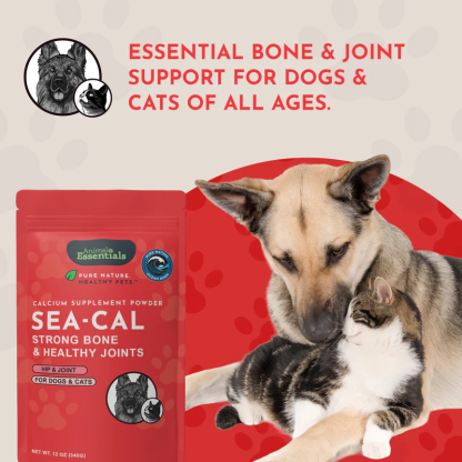 Animal Essentials Seaweed Calcium (12oz) Bone Joint Calcium Mineral Support Organic for Dogs and Cats