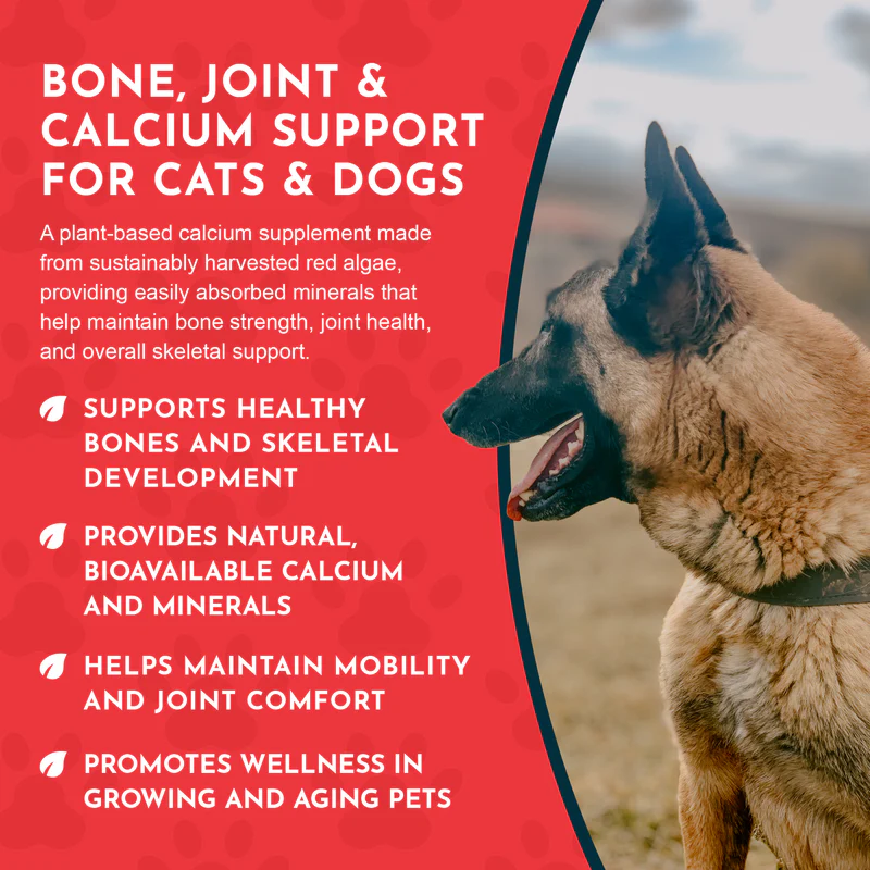 Animal Essentials Seaweed Calcium (12oz) Bone Joint Calcium Mineral Support Organic for Dogs and Cats