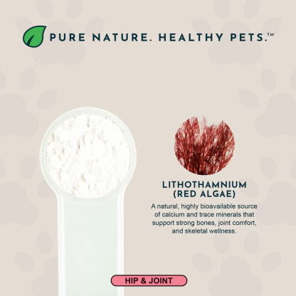 Animal Essentials Seaweed Calcium (12oz) Bone Joint Calcium Mineral Support Organic for Dogs and Cats