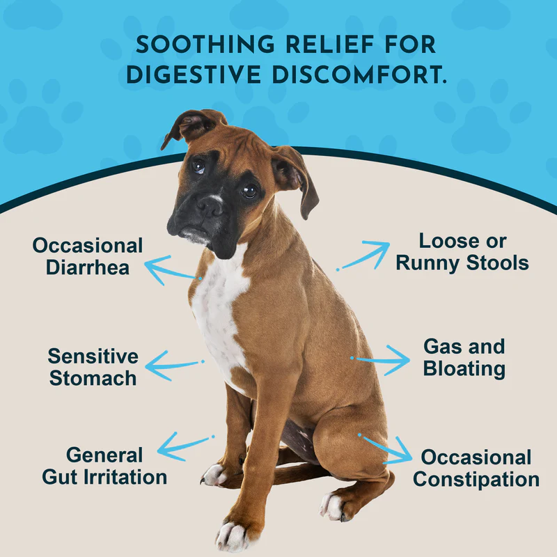 Animal Essentials Slippery Elm (1oz) Diarrhea IBD Digestive Gut Cough Support Herbal Tincture Organic for Dogs and Cats