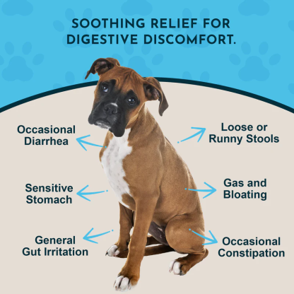 Animal Essentials Slippery Elm (1oz) Diarrhea IBD Digestive Gut Cough Support Herbal Tincture Organic for Dogs and Cats