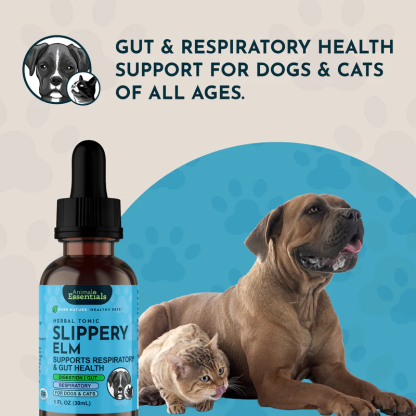 Animal Essentials Slippery Elm (1oz) Diarrhea IBD Digestive Gut Cough Support Herbal Tincture Organic for Dogs and Cats