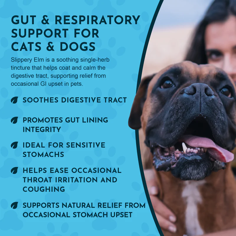 Animal Essentials Slippery Elm (1oz) Diarrhea IBD Digestive Gut Cough Support Herbal Tincture Organic for Dogs and Cats