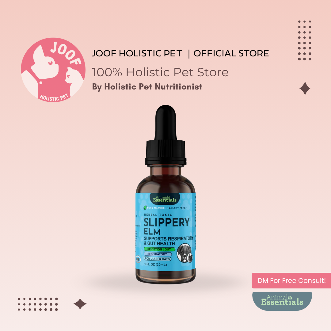 Animal Essentials Slippery Elm (1oz) Diarrhea IBD Digestive Gut Cough Support Herbal Tincture Organic for Dogs and Cats