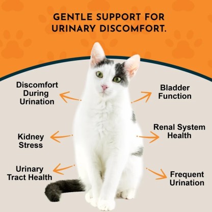 Animal Essentials Tinkle Tonic (1oz) Urinary Tract UTI Bladder Support Herbal Tincture Organic for Dogs and Cats
