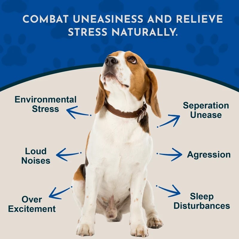Animal Essentials Tranquility Blend (1oz) Stress Anxiety Calming Support Herbal Tincture Organic for Dogs and Cats