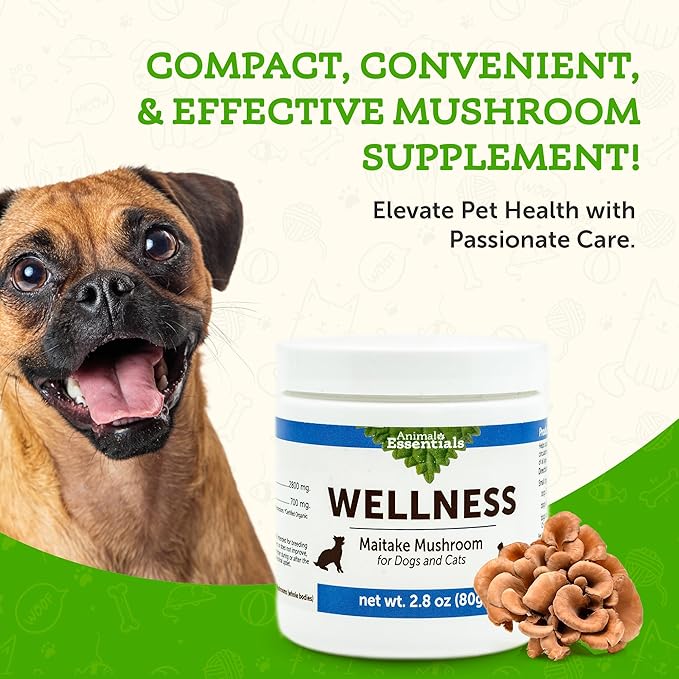 Animal Essentials Maitake Mushroom (80g) Immune Cancer Diabetes Support Organic for Dogs and Cats