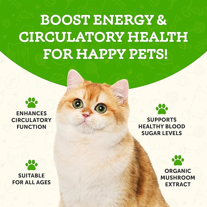 Animal Essentials Maitake Mushroom (80g) Immune Cancer Diabetes Support Organic for Dogs and Cats