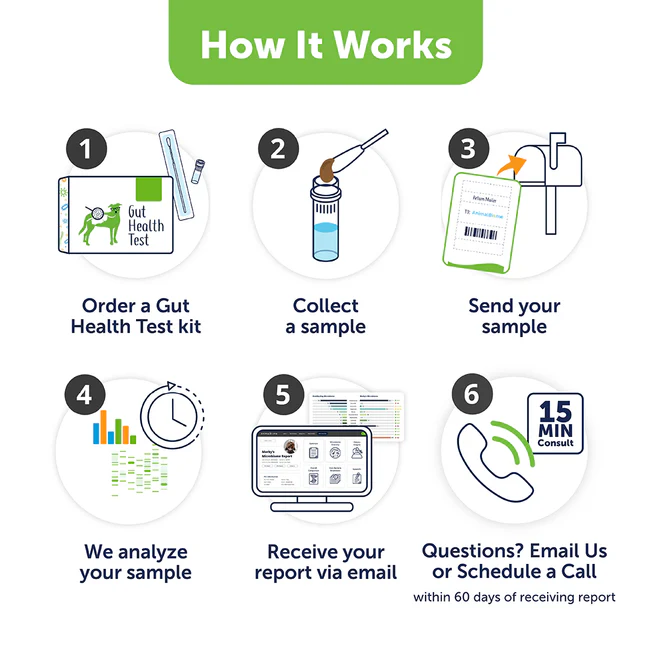 AnimalBiome Gut Health Test Gut Microbiome Analysis for Dogs and Cats