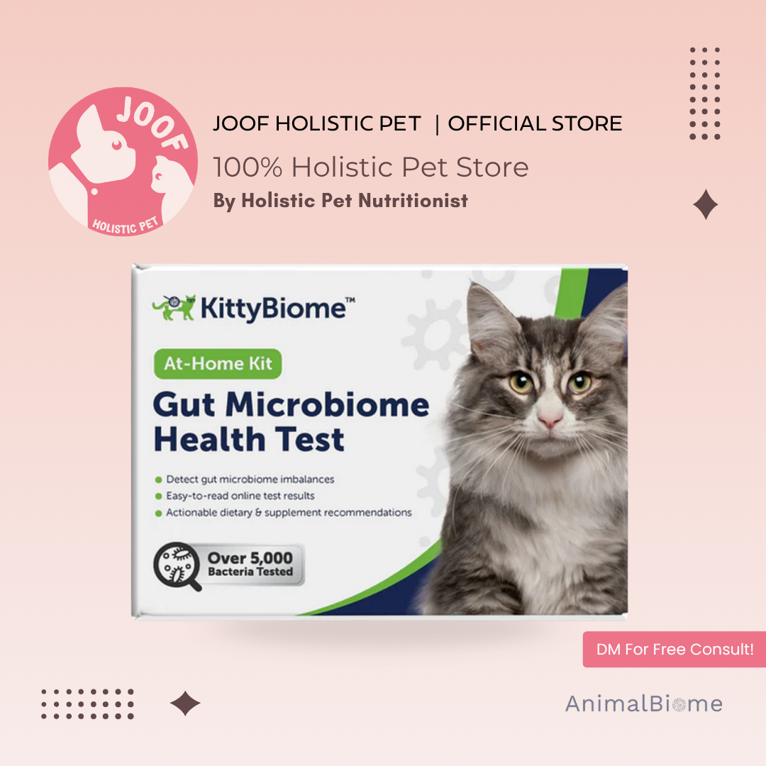 AnimalBiome Gut Health Test Gut Microbiome Analysis for Dogs and Cats