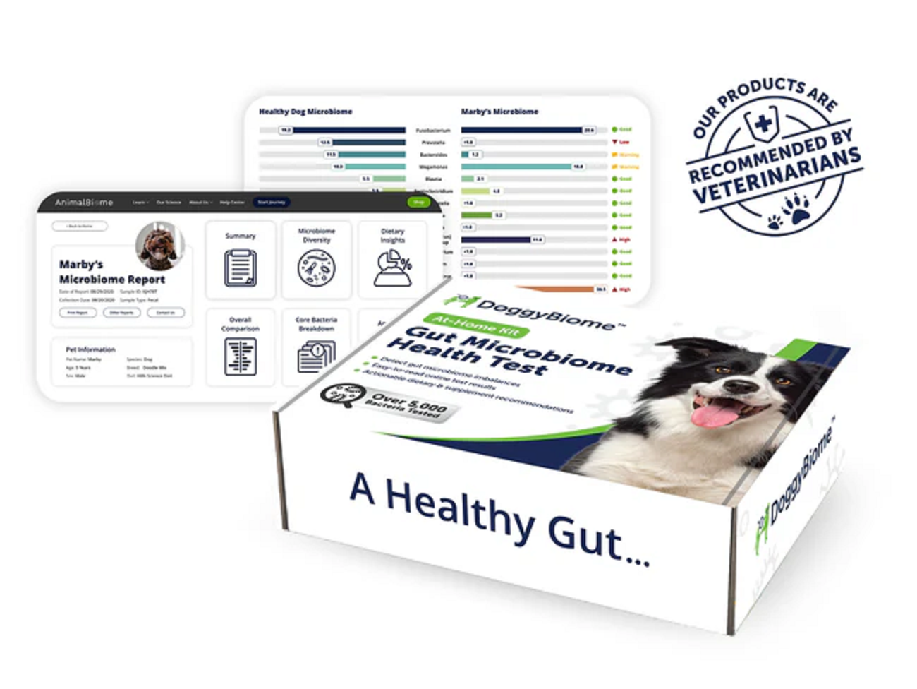 AnimalBiome Gut Health Test Gut Microbiome Analysis for Dogs and Cats