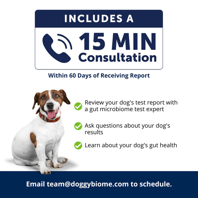 AnimalBiome Gut Health Test Gut Microbiome Analysis for Dogs and Cats