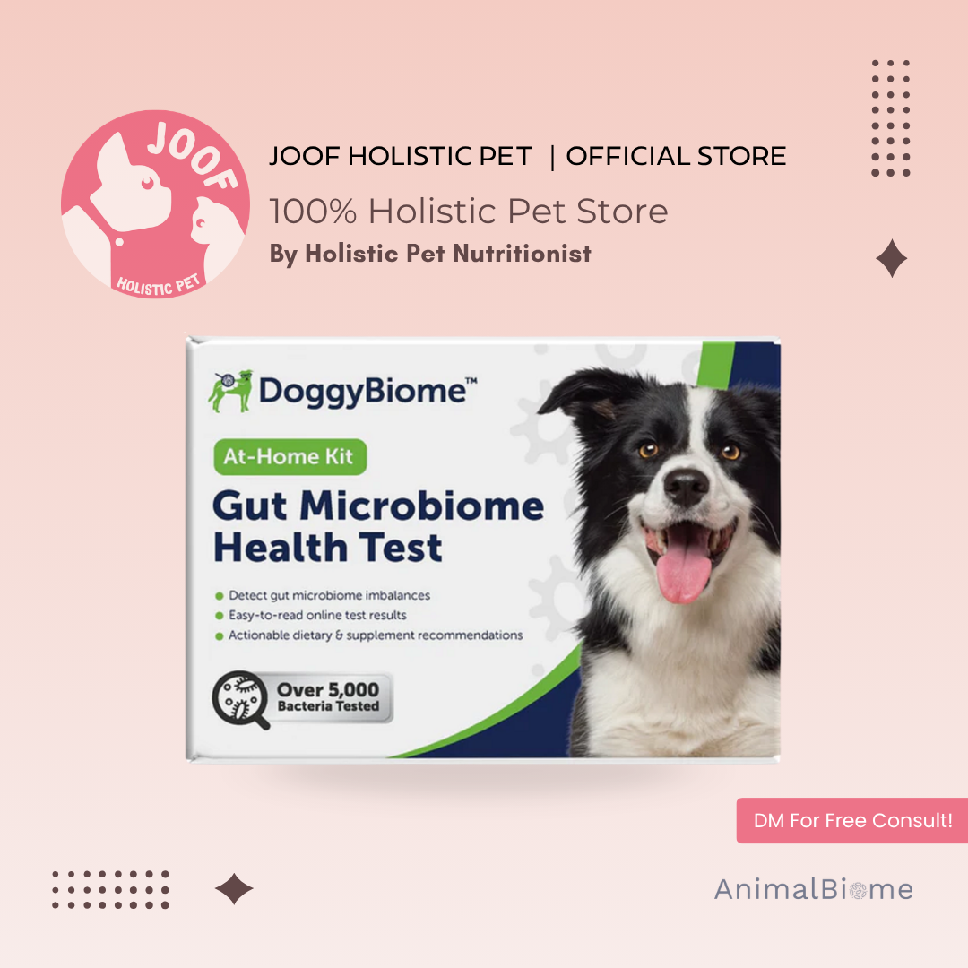 AnimalBiome Gut Health Test Gut Microbiome Analysis for Dogs and Cats