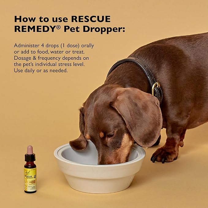 Bach Rescue Remedy Pet (10ml & 20ml) Stress Anxiety Calming Drops Natural Relaxation for Dogs and Cats