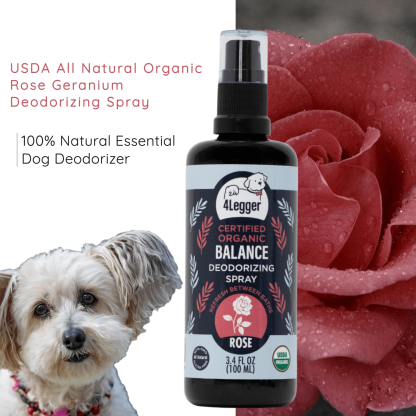 4Legger Balance, Rose USDA Certified Organic Deodorizing Spray for Dogs (3.4oz) | Holistic Grooming Essentials for Dogs