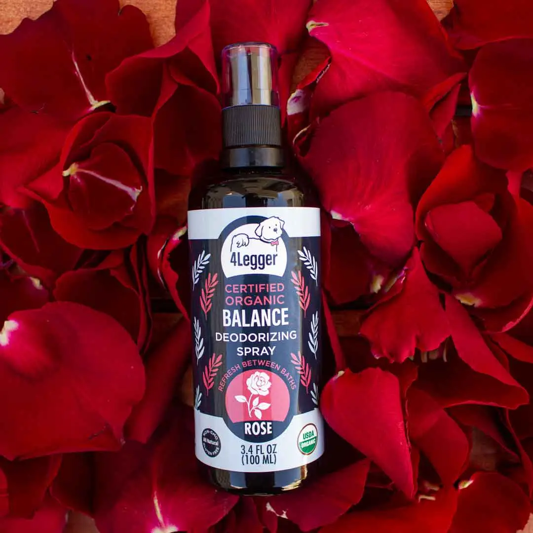 4Legger Balance, Rose USDA Certified Organic Deodorizing Spray for Dogs (3.4oz) | Holistic Grooming Essentials for Dogs