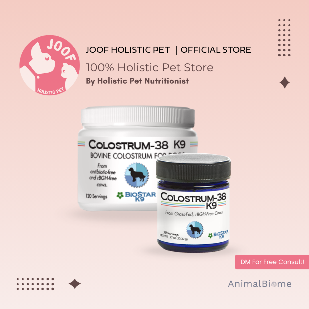 BioStar K9 Colostrum-38 (30 & 120 Servings) Immune Skin Allergy Support Whole Food for Dogs and Cats
