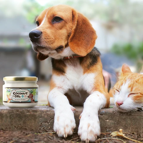 CocoTherapy Coconut Oil and a dog