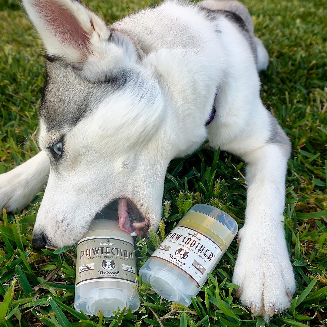 Pawtection vs. Paw Soother