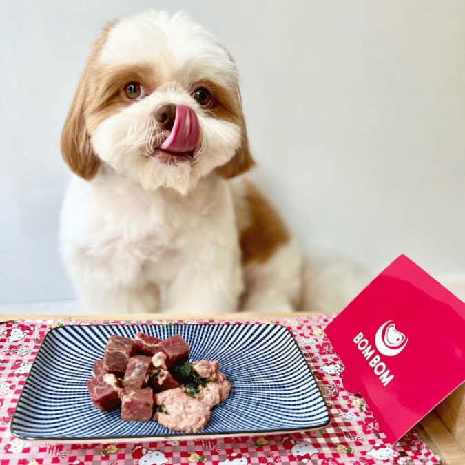 BOMBOM Beef Raw (100g) BARF Single Protein Elimination Diet for Dogs and Cats