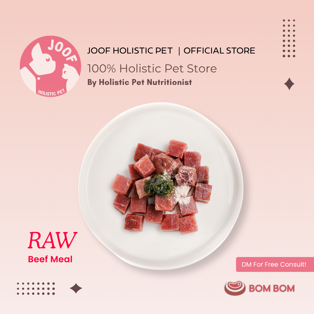 BOMBOM Beef Raw (100g) BARF Single Protein Elimination Diet for Dogs and Cats