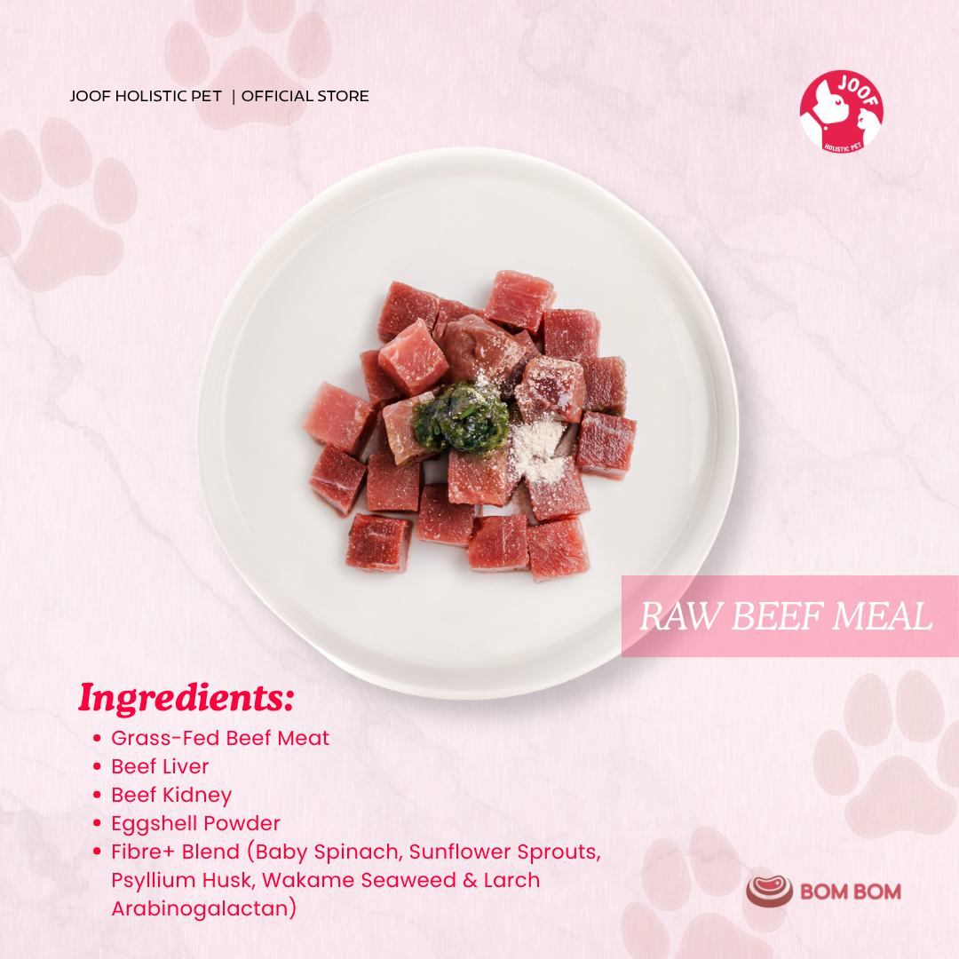 BOMBOM Beef Raw (100g) BARF Single Protein Elimination Diet for Dogs and Cats