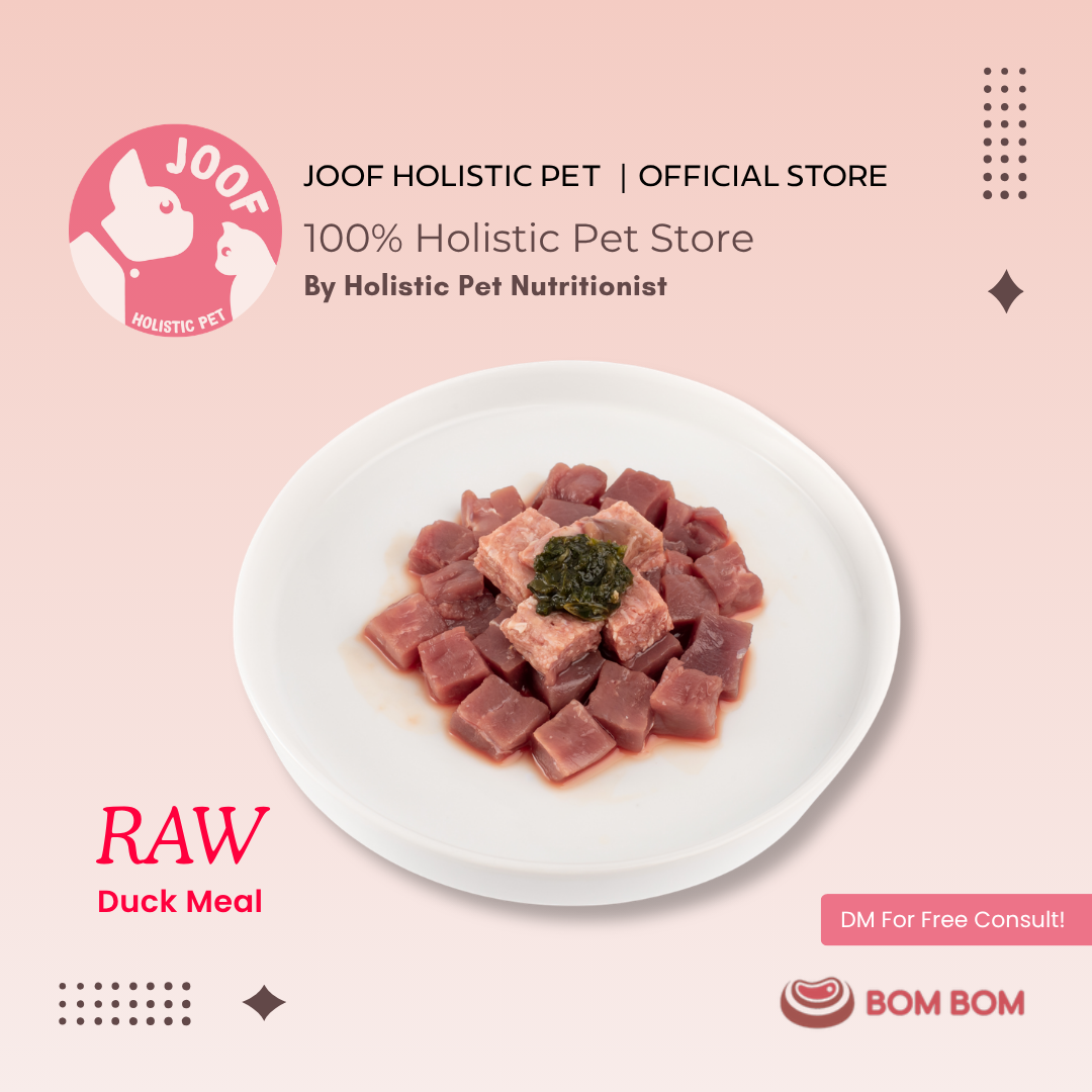 BOMBOM Duck Raw (100g) BARF Single Protein Elimination Diet for Dogs and Cats