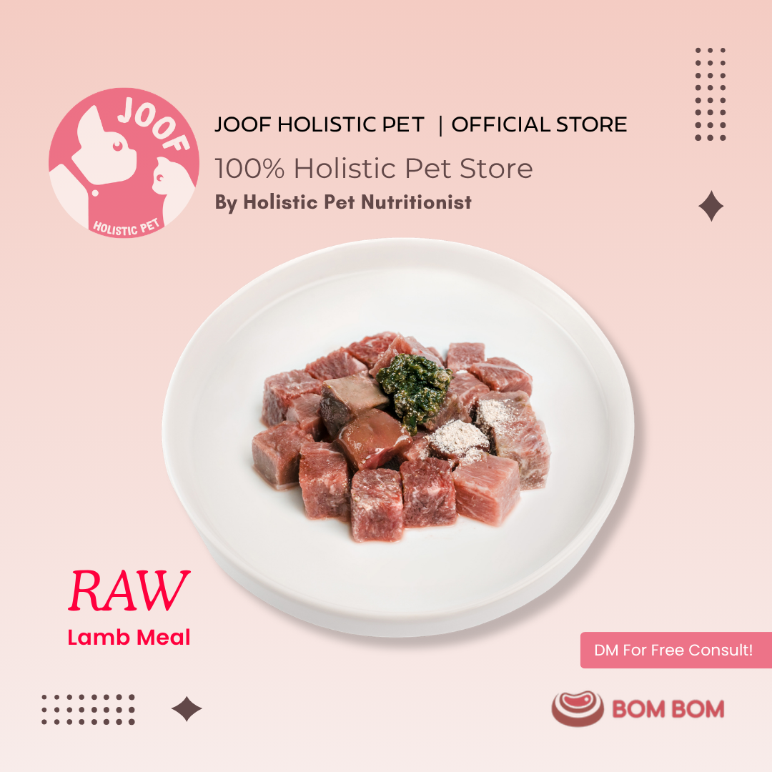 BOMBOM Lamb Raw (100g) BARF Single Protein Elimination Diet for Dogs and Cats